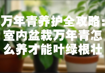 万年青养护全攻略：室内盆栽万年青怎么养才能叶绿根壮
