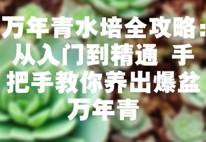 万年青水培全攻略：从入门到精通 手把手教你养出爆盆万年青