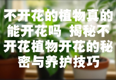 不开花的植物真的能开花吗 揭秘不开花植物开花的秘密与养护技巧
