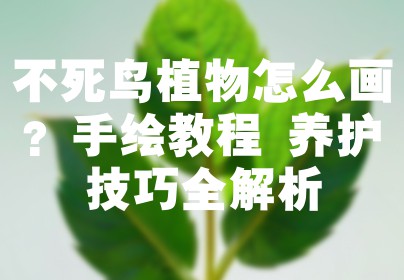 不死鸟植物怎么画？手绘教程+养护技巧全解析