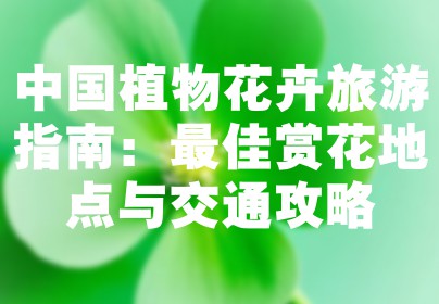 中国植物花卉旅游指南：最佳赏花地点与交通攻略
