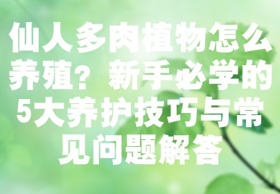 仙人多肉植物怎么养殖？新手必学的5大养护技巧与常见问题解答