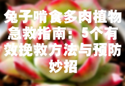 兔子啃食多肉植物急救指南：5个有效挽救方法与预防妙招