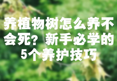 养植物树怎么养不会死？新手必学的5个养护技巧