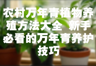 农村万年青植物养殖方法大全 新手必看的万年青养护技巧