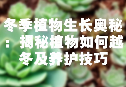 冬季植物生长奥秘：揭秘植物如何越冬及养护技巧
