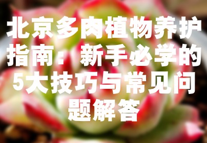 北京多肉植物养护指南：新手必学的5大技巧与常见问题解答