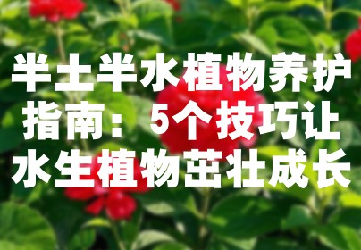 半土半水植物养护指南：5个技巧让水生植物茁壮成长