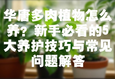 华唐多肉植物怎么养？新手必看的5大养护技巧与常见问题解答
