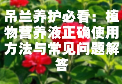 吊兰养护必看：植物营养液正确使用方法与常见问题解答