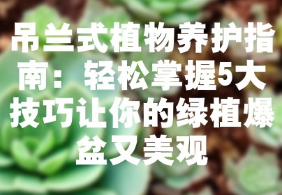 吊兰式植物养护指南：轻松掌握5大技巧让你的绿植爆盆又美观