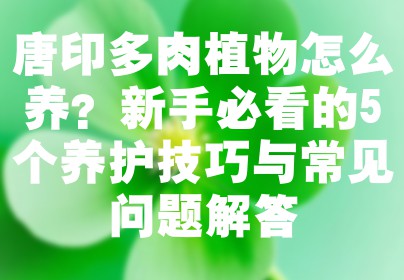 唐印多肉植物怎么养？新手必看的5个养护技巧与常见问题解答