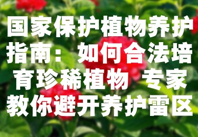 国家保护植物养护指南：如何合法培育珍稀植物 专家教你避开养护雷区