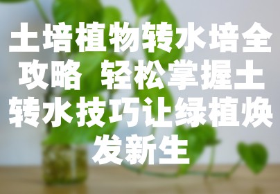 土培植物转水培全攻略 轻松掌握土转水技巧让绿植焕发新生
