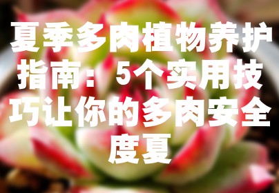 夏季多肉植物养护指南：5个实用技巧让你的多肉安全度夏