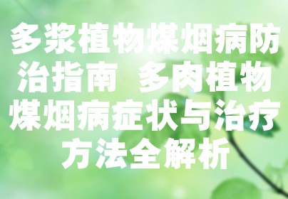 多浆植物煤烟病防治指南 多肉植物煤烟病症状与治疗方法全解析