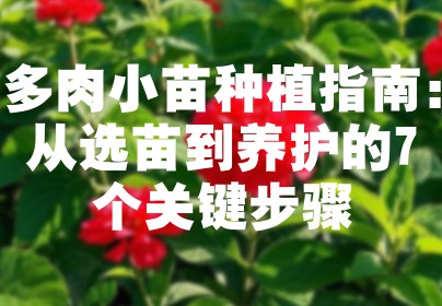 多肉小苗种植指南：从选苗到养护的7个关键步骤