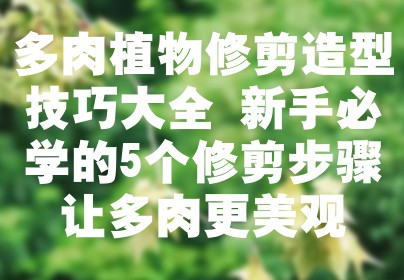 多肉植物修剪造型技巧大全 新手必学的5个修剪步骤让多肉更美观
