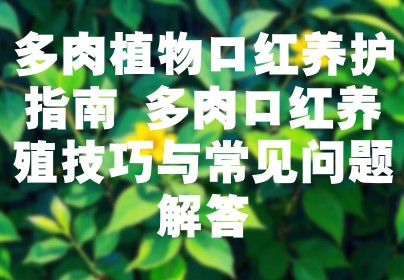 多肉植物口红养护指南 多肉口红养殖技巧与常见问题解答