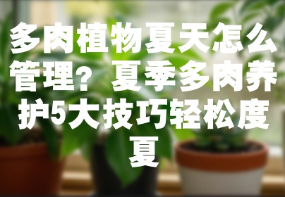 多肉植物夏天怎么管理？夏季多肉养护5大技巧轻松度夏
