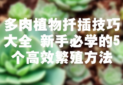 多肉植物扦插技巧大全 新手必学的5个高效繁殖方法