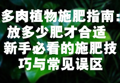 多肉植物施肥指南：放多少肥才合适 新手必看的施肥技巧与常见误区