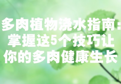 多肉植物浇水指南：掌握这5个技巧让你的多肉健康生长
