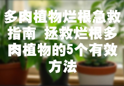 多肉植物烂根急救指南 拯救烂根多肉植物的5个有效方法