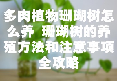 多肉植物珊瑚树怎么养 珊瑚树的养殖方法和注意事项全攻略