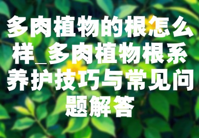 多肉植物的根怎么样_多肉植物根系养护技巧与常见问题解答