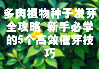多肉植物种子发芽全攻略 新手必学的5个高效催芽技巧