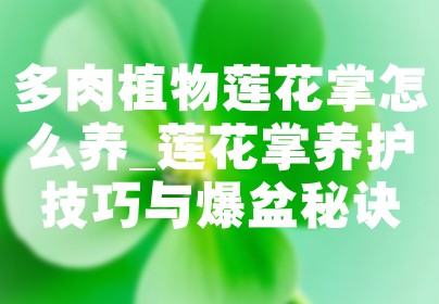 多肉植物莲花掌怎么养_莲花掌养护技巧与爆盆秘诀