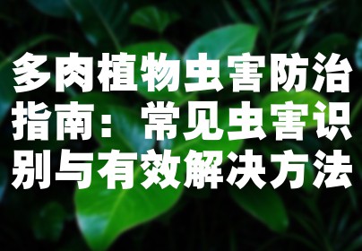 多肉植物虫害防治指南：常见虫害识别与有效解决方法