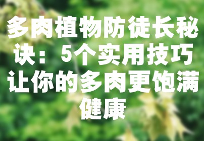 多肉植物防徒长秘诀：5个实用技巧让你的多肉更饱满健康
