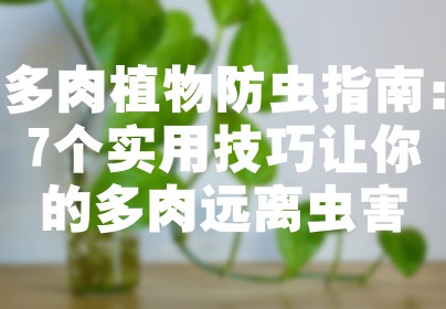 多肉植物防虫指南：7个实用技巧让你的多肉远离虫害