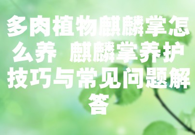 多肉植物麒麟掌怎么养 麒麟掌养护技巧与常见问题解答