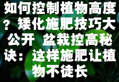 如何控制植物高度？矮化施肥技巧大公开 盆栽控高秘诀：这样施肥让植物不徒长