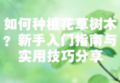 如何种植花草树木？新手入门指南与实用技巧分享