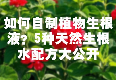 如何自制植物生根液？5种天然生根水配方大公开