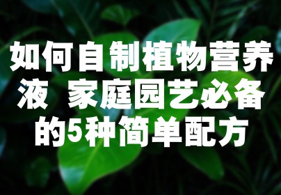 如何自制植物营养液 家庭园艺必备的5种简单配方