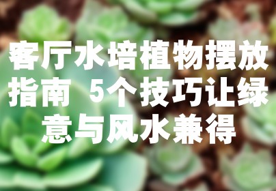 客厅水培植物摆放指南 5个技巧让绿意与风水兼得