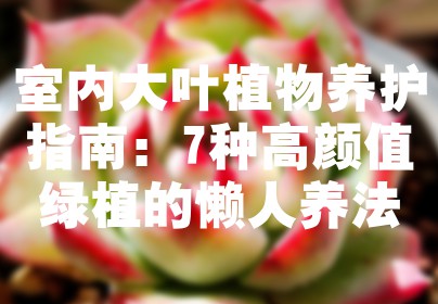 室内大叶植物养护指南：7种高颜值绿植的懒人养法