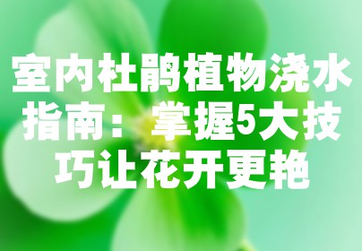 室内杜鹃植物浇水指南：掌握5大技巧让花开更艳