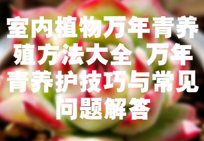 室内植物万年青养殖方法大全 万年青养护技巧与常见问题解答