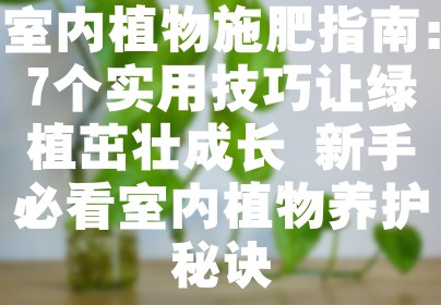 室内植物施肥指南：7个实用技巧让绿植茁壮成长 新手必看室内植物养护秘诀