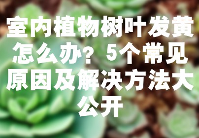 室内植物树叶发黄怎么办？5个常见原因及解决方法大公开