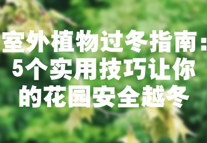 室外植物过冬指南：5个实用技巧让你的花园安全越冬