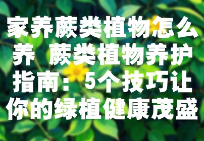 家养蕨类植物怎么养 蕨类植物养护指南：5个技巧让你的绿植健康茂盛