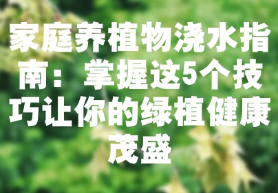 家庭养植物浇水指南：掌握这5个技巧让你的绿植健康茂盛