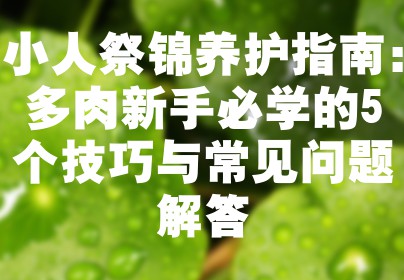 小人祭锦养护指南：多肉新手必学的5个技巧与常见问题解答